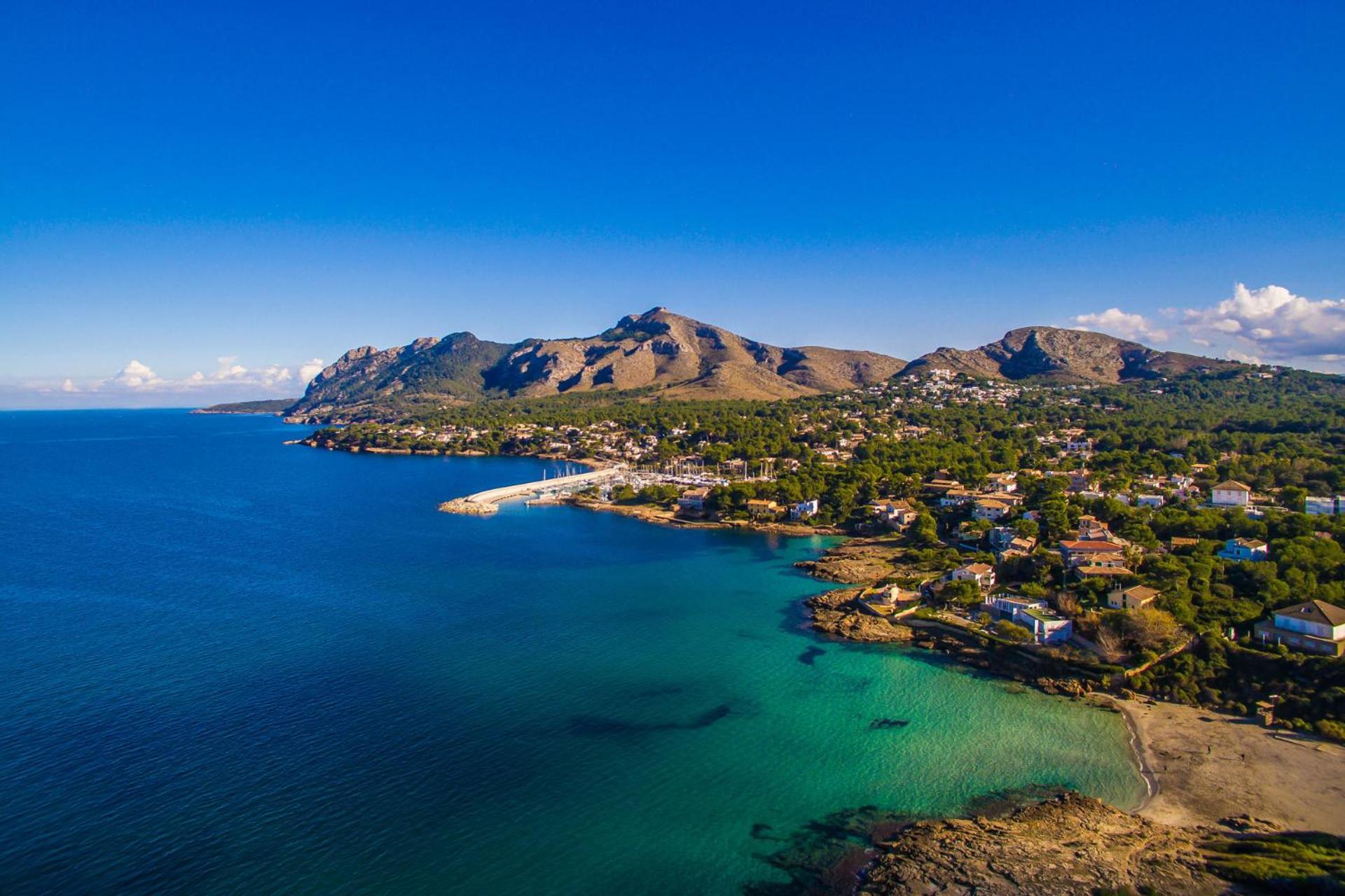 Ideal Mallorca - Amapola