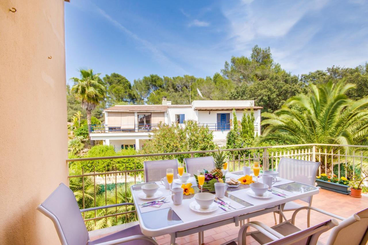 Ideal Mallorca - Amapola * Alcanada